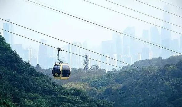 广州市内必游景点 广州旅游攻略景点必去