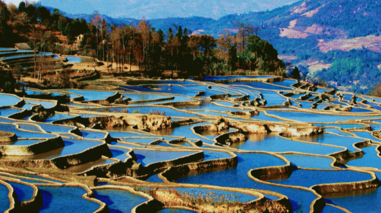 云南旅游官方助手“游云南”带你嗨玩不停 智慧景区电子票务系统 
