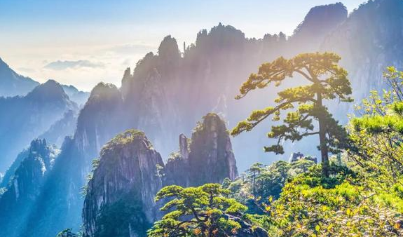 2021中国旅游景区发展报告