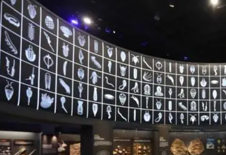  5G+ 智慧文旅为博物馆游客提供数字化文化共享平台