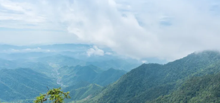 临安村落景区市场化运营的背景