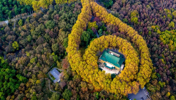 江苏钟山景区票务系统实现门票和观光车票的互联网预约