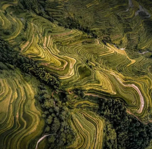 贵州适合秋游的地方？黔东南旅游攻略和景点推荐