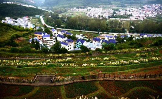 钟山区大河堡景区的百亩花卉陆续迎来盛花期