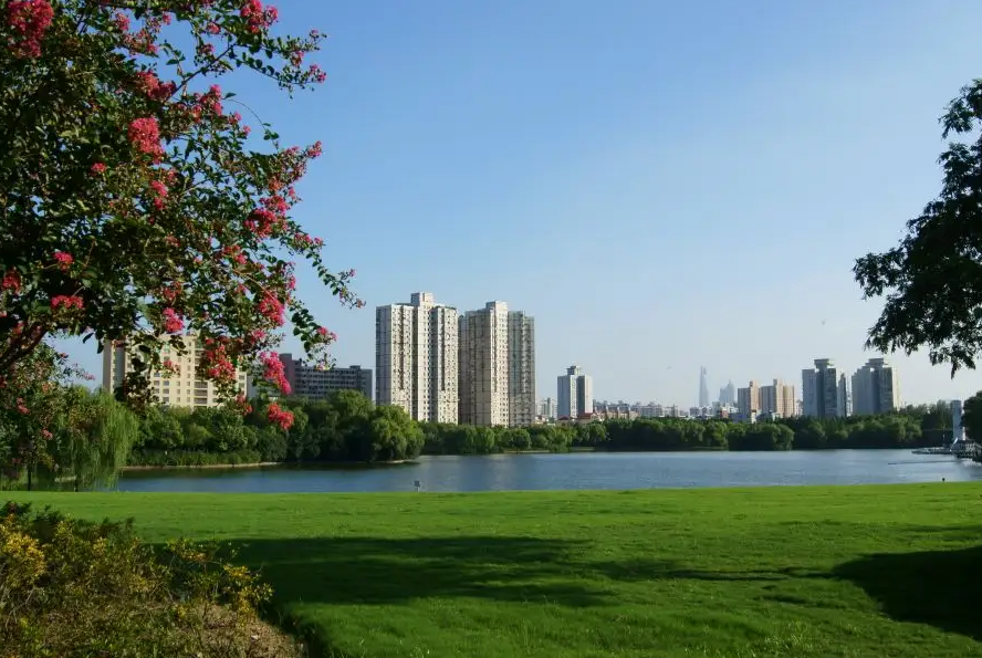 中国风景名胜区协会：将生态效益放在国家公园旅游更重要位置