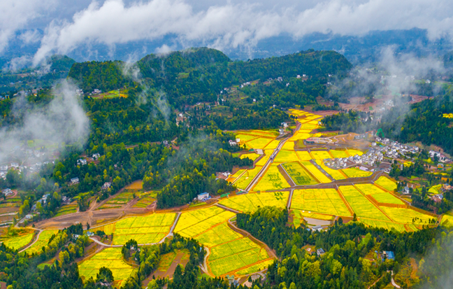 巴中市文旅局以“花”为媒激活春季旅游市场