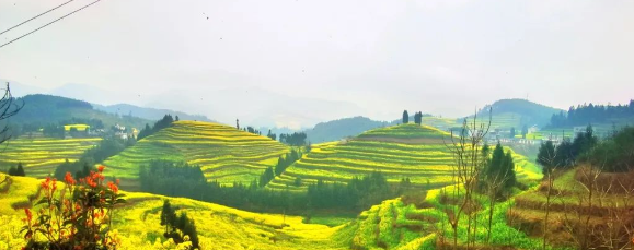 昆明农旅融合，振兴乡村