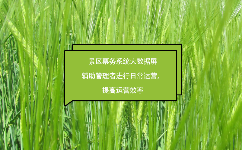 景区票务系统大数据屏辅助管理者进行日常运营，提高运营效率