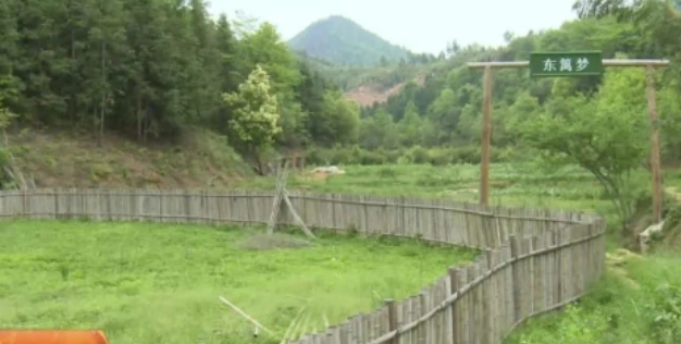 昔日抛荒山谷浏阳枨冲佳和村，变身网红景区