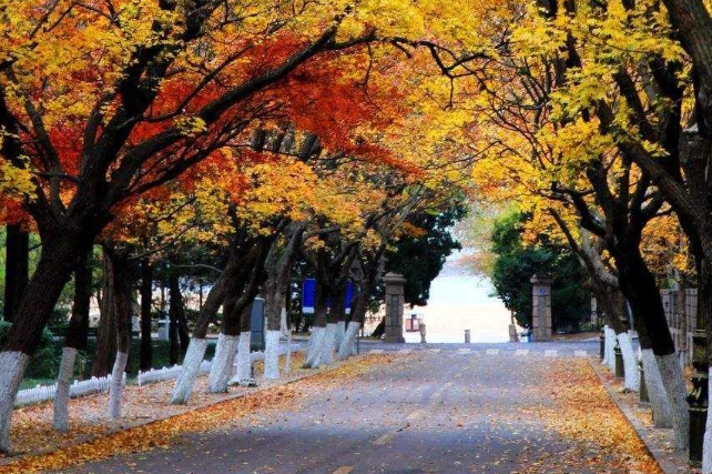 八大关风景区介绍，探寻青岛的历史与风情