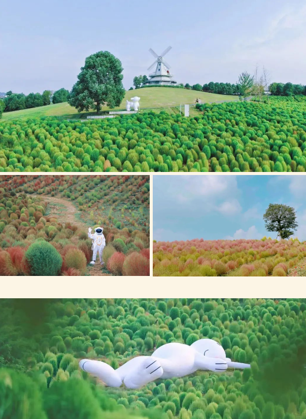青白江旅游景点有哪些