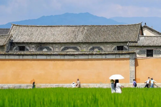云南暑期旅游市场分析报告发布