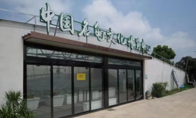 乌嘴乡罗文村以“农文旅”融合促推乡村振兴