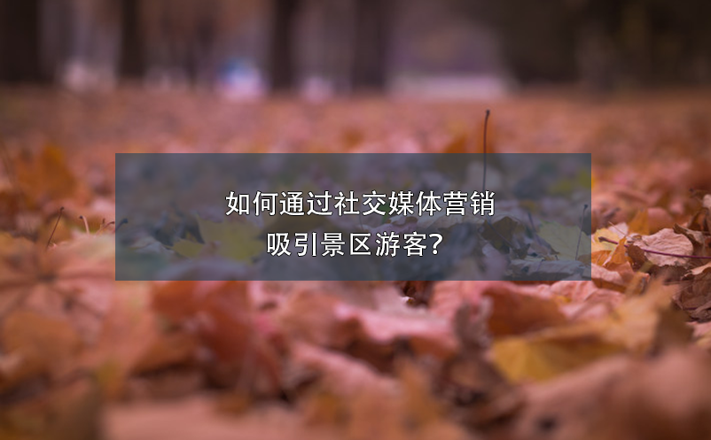 如何通过社交媒体营销吸引景区游客？