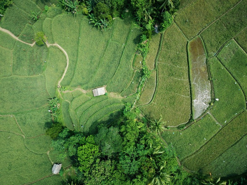 景区风险管理：技术如何对其进行助力？