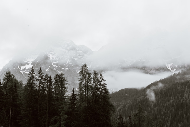 优化景区运营流程：提升效率与游客体验的方案