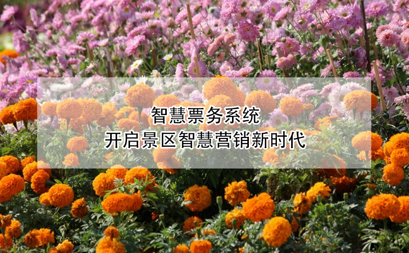 智慧票务系统：开启景区智慧营销新时代