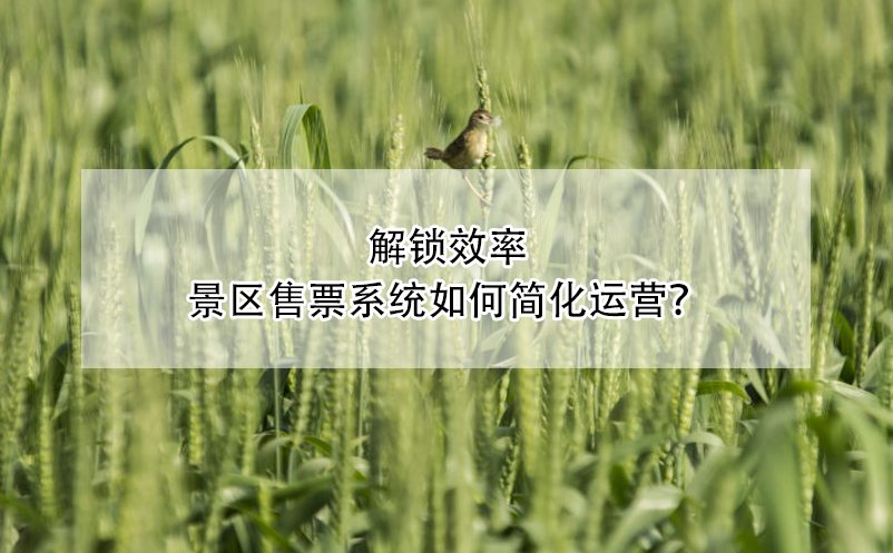 解锁效率：景区售票系统如何简化运营？