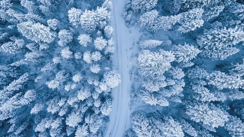 c77b18b44af6c2702c2bed4393dd0771_bird-s-eye-view-bright-close-up-1438761-via-sitapix-com.jpeg