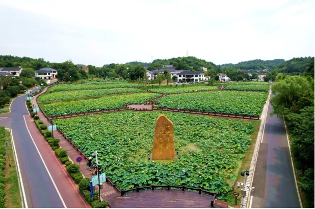 益阳推出8条“游购乡村”活动线路,提升旅游消费 益阳推出8条“游购乡村”活动线路,提升旅游消费