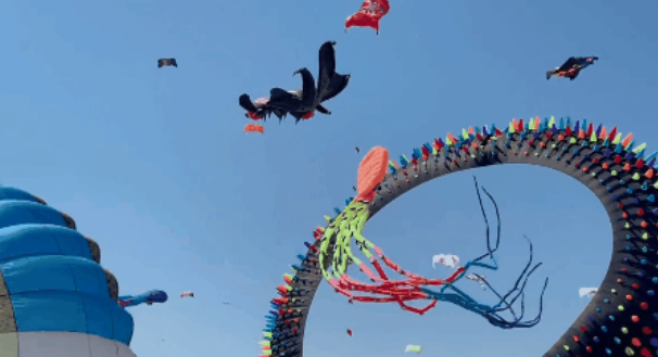 2024骆岗公园首届国际风筝露营会来啦！