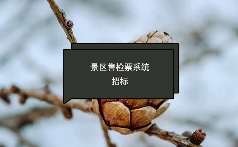 景区售检票系统招标