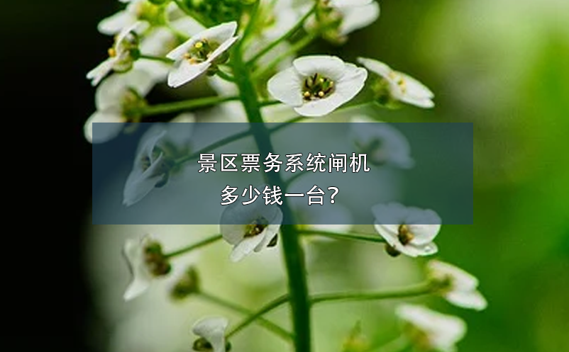 景区票务系统闸机多少钱一台？