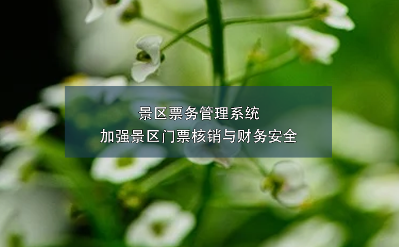 景区票务管理系统：加强景区门票核销与财务安全