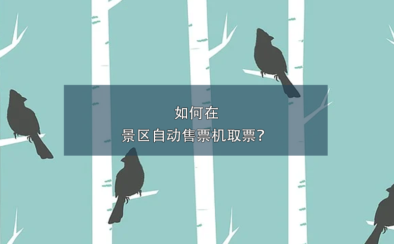 如何在景区自动售票机取票？