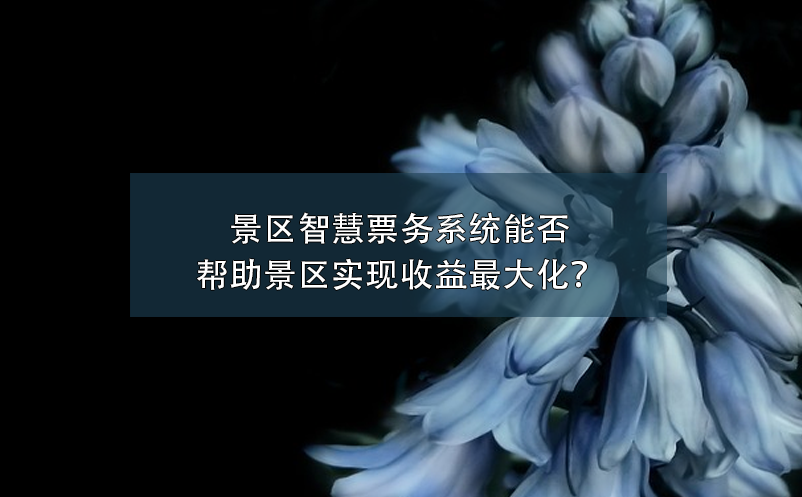 景区智慧票务系统能否帮助景区实现收益最大化？