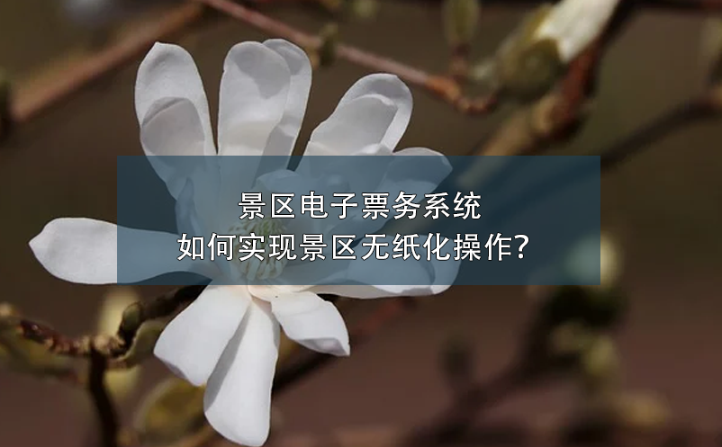 景区电子票务系统如何实现景区无纸化操作？