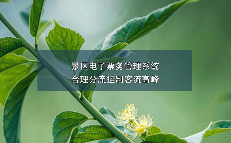 景区电子票务管理系统合理分流控制客流高峰