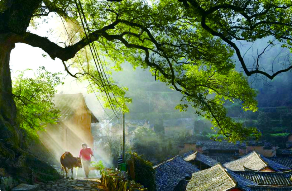 QQ_1736151709915.png