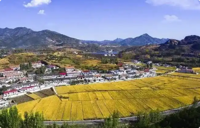 QQ_1736151763826.png