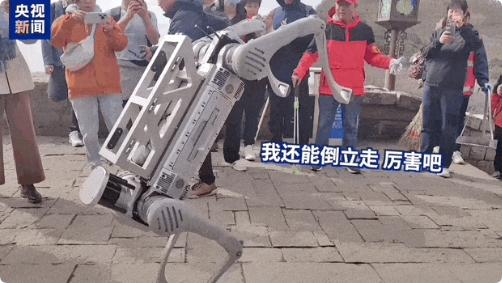 QQ_1740722783869.png