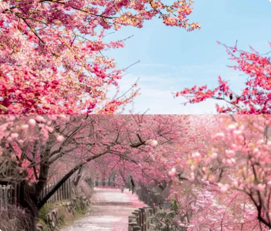 QQ_1741329443817.png