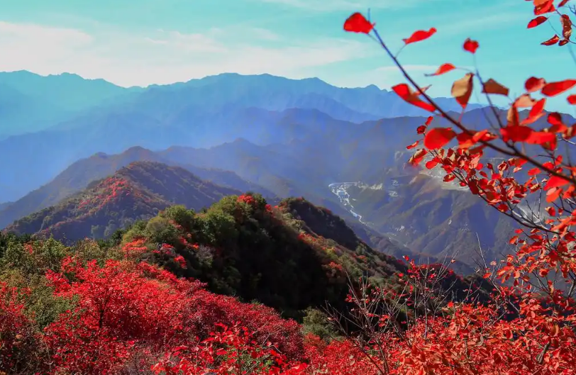 香山票务系统服务项目公开招标公告