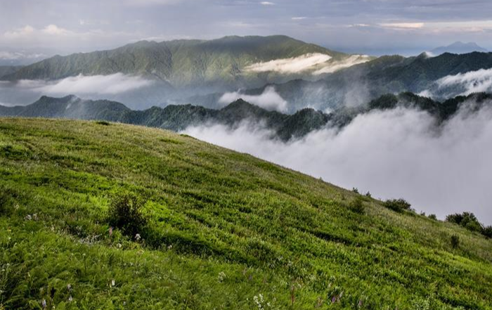 平利县正阳草甸旅游基础设施建设项目智慧景区系统完成招标,总投资约96万元打造“智慧草甸”