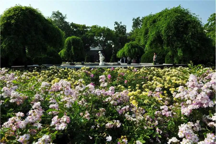 上海又新增6家国家3A级旅游景区 上海又新增6家国家3A级旅游景区