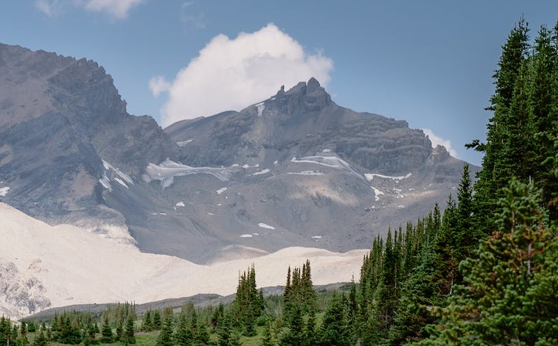 黄山市深入挖掘文旅消费潜力，大力激活冬春文旅市场