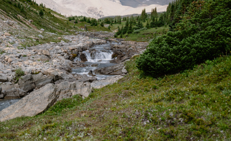 河南省洛阳市出台《旅游餐饮住宿交通服务规范》