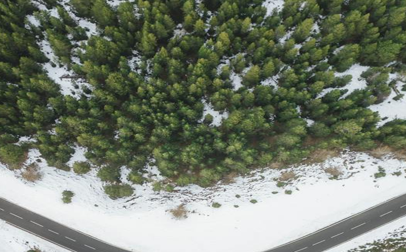 开封市文旅局采取多种措施提升旅游景区服务品质