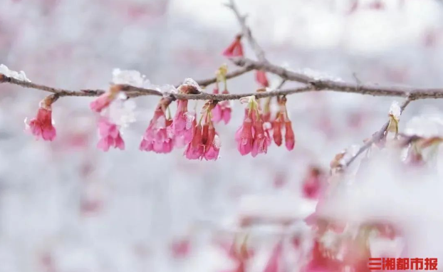 湖南省多个景区恢复开放