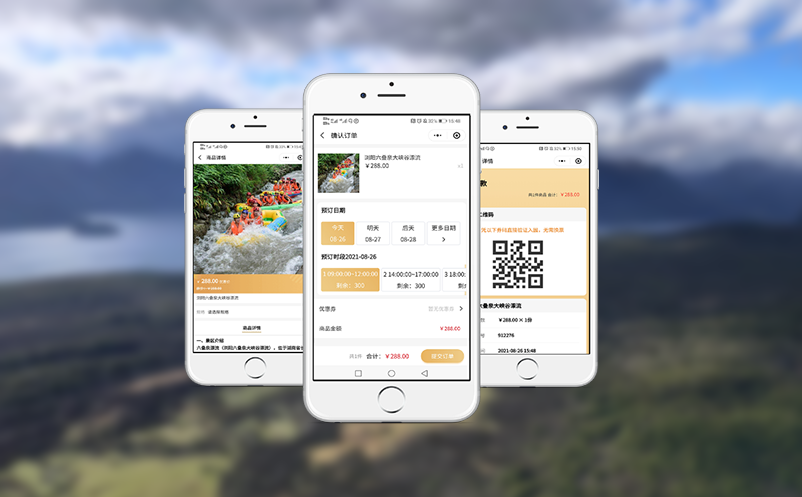 从传统售票到电子支付：门票系统便捷与安全的双重保障