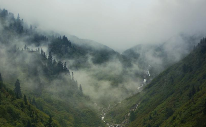 黑吉辽共同加强冰雪经济协同发展及文旅消费区域合作