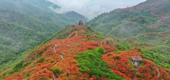 湖南多个景区纷纷推出免票、半价等妇女节优惠活动 湖南多个景区纷纷推出免票、半价等妇女节优惠活动
