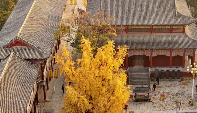 郑州明年建成“黄河古都”一号旅游公路 郑州明年建成“黄河古都”一号旅游公路