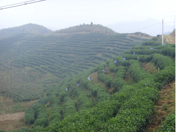 牡丹江特色旅游路线感受春日美好