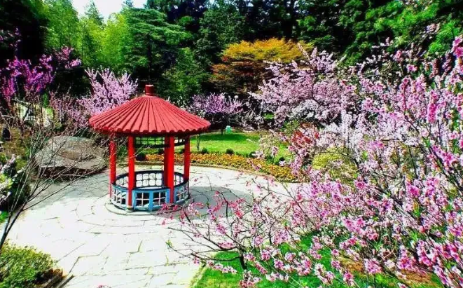 庐山踏青详细旅游攻略