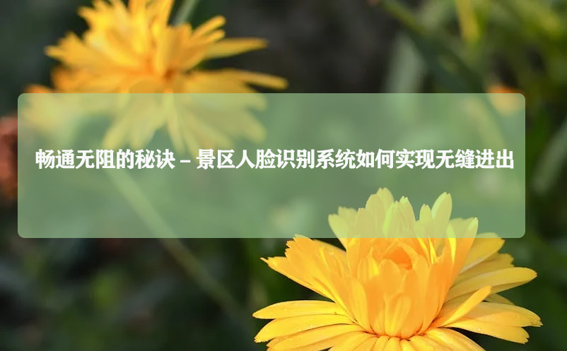 景区畅通无阻的秘诀，景区人脸识别系统如何实现无缝进出